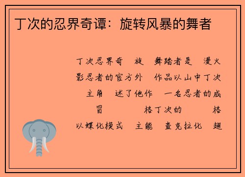 丁次的忍界奇谭：旋转风暴的舞者