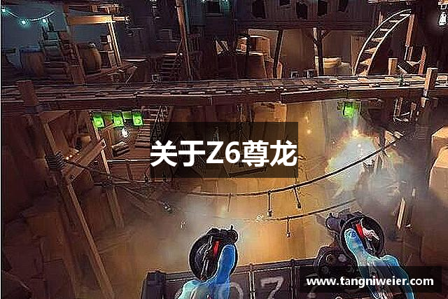 关于Z6尊龙