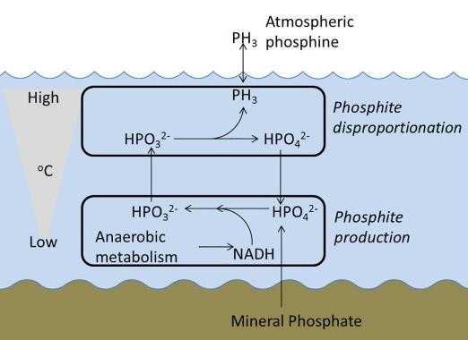 磷酸盐加热磷化氢