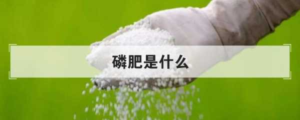 磷酸盐是磷肥吗 磷酸盐和鸟粪关系