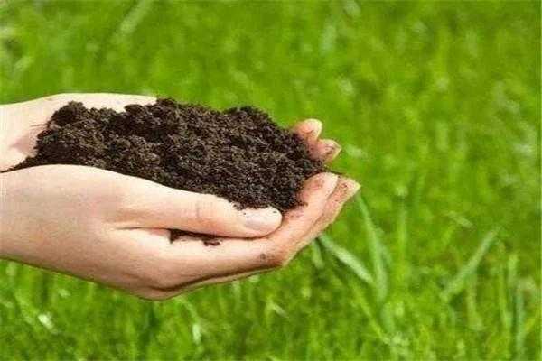 磷酸盐可以作为土壤改良剂吗 土壤中的磷酸盐有什么用