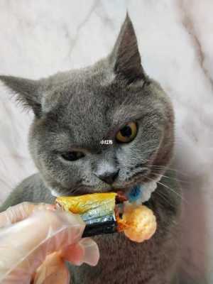 猫咪吃了食品防腐剂_猫咪不小心吃了防腐剂
