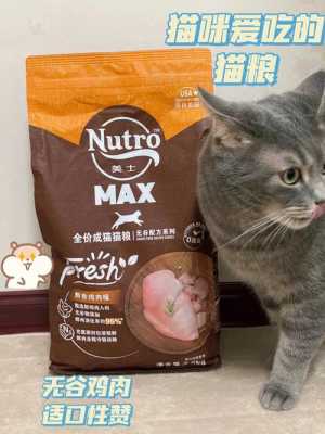 猫粮里都有焦磷酸盐吗（猫粮中有盐吗）