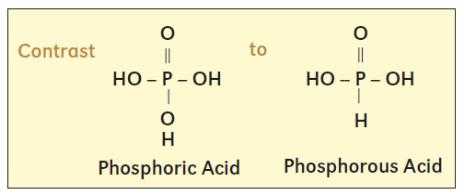 亚磷酸盐衍生物