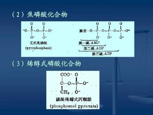 磷酸脱水形成的化合物-磷酸盐催化脱水的原理是