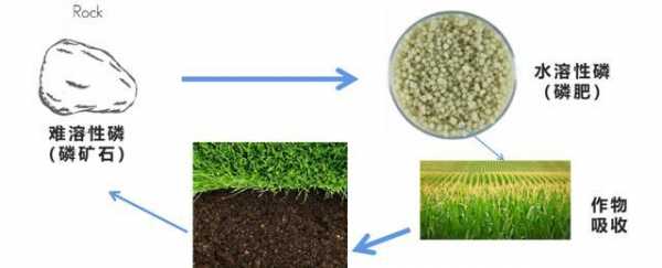 有机磷肥的制作-有机肥磷酸盐