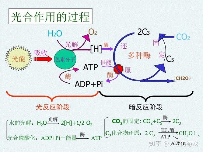  磷酸盐可以合成ATP「磷酸盐之间相互转化的条件」