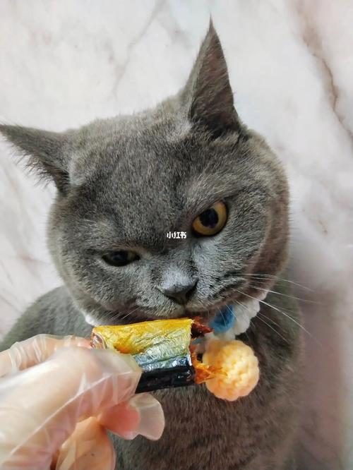  猫咪吃了食品防腐剂会怎么样「猫咪误食防腐剂会怎样」