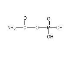  有关氨基甲磷酸盐正确的是「关于氨基甲酰磷酸的叙述正确的是」