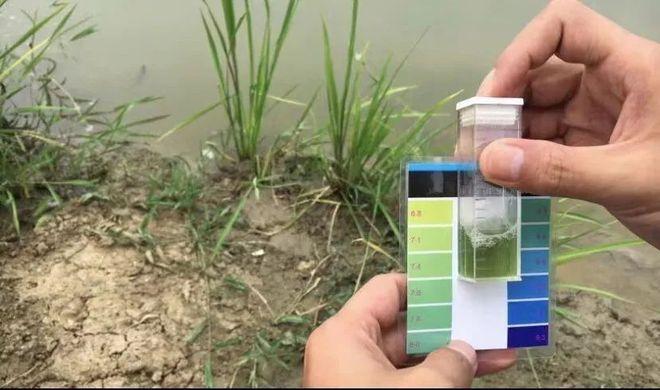 养殖水体测磷酸盐实验视频